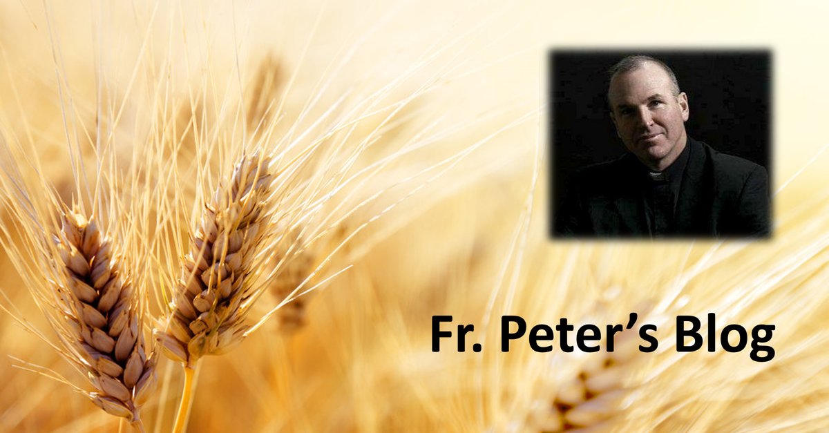 Read more about the article Seek The Bread Of Life!